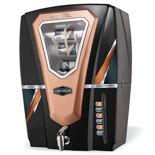 Regal Black is our one of the best design RO Cabinet.