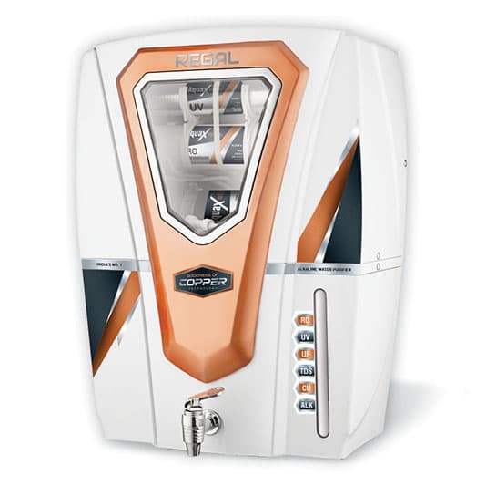 Regal White is our one of the best design RO Cabinet.